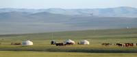 A ger camp on the Mongolia Charity Challenge